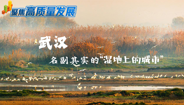 聚焦高质量发展|武汉：名副其实的“湿地上的城市”